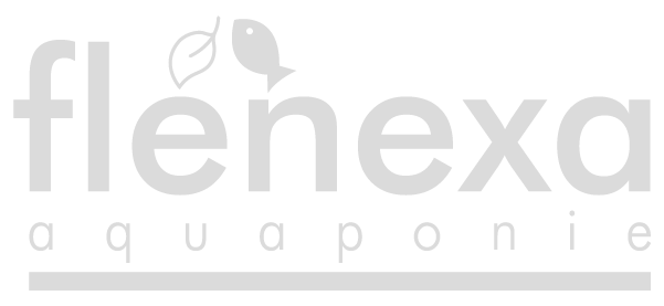 Spolupořádání eventů a propojování aktivit – Flenexa